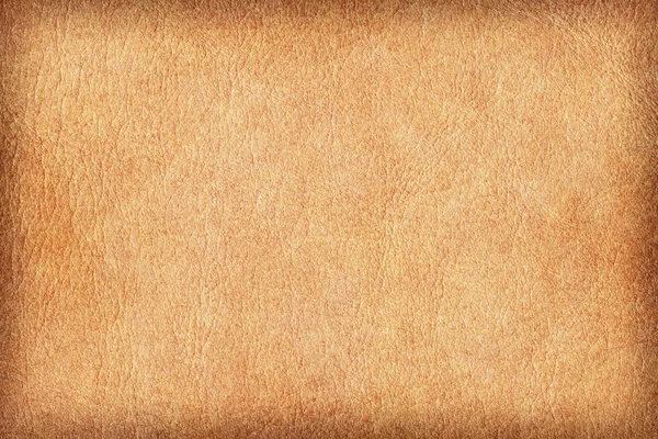 Пергамент из кожи античного животного Vignette Grunge Texture Sample — стоковое фото