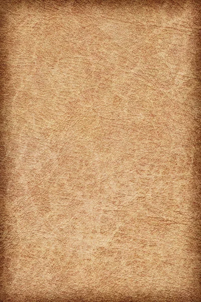 Starožitné zvířecí kůže pergamen Vignette Grunge textury vzorek — Stock fotografie