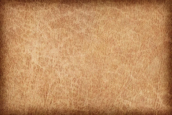古色古香的动物皮肤羊皮纸 Vignette Grunge 纹理样本 — 图库照片