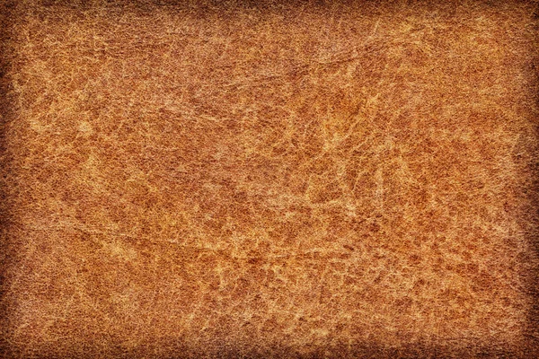 Amostra de textura de grunge de vinheta de pergaminho de pele animal antigo — Fotografia de Stock