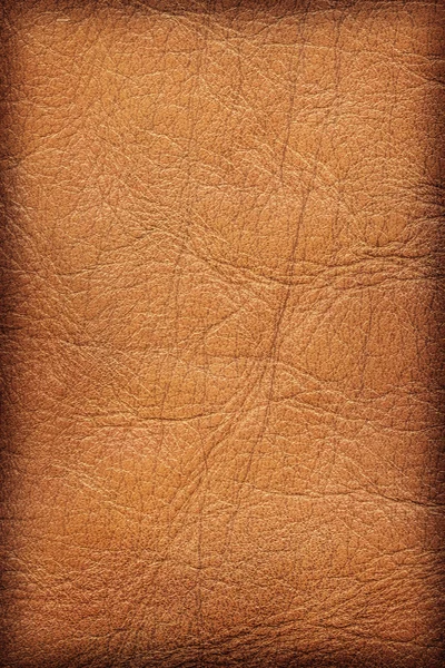 Viejo cuero de vaca arrugado arrugado Grunge textura detalle de la muestra — Foto de Stock