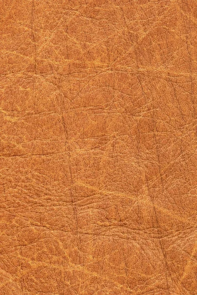 Старий коров'ячий креветка вкритий гранжевою текстурою зразок деталі — стокове фото