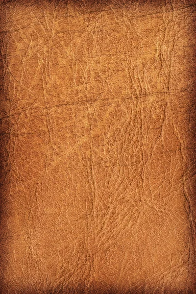 Vecchio pelle bovina increspata increspato Grunge Texture campione dettaglio — Foto Stock