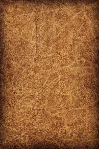 Old Cowhide Creased Crumpled Grunge Texture Sample Detail — Stock Photo, Image