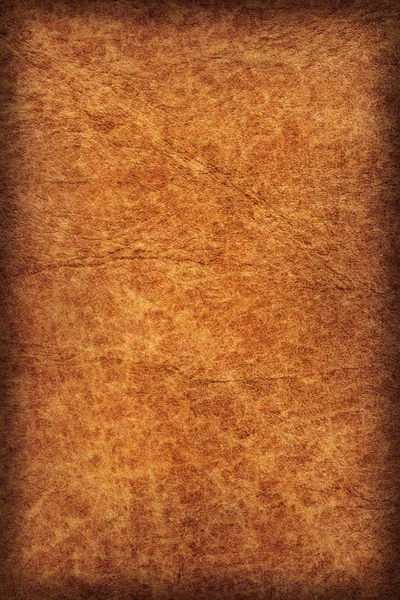 Old Cowhide Creased Crumpled Grunge Texture Sample Detail — Stock Photo, Image