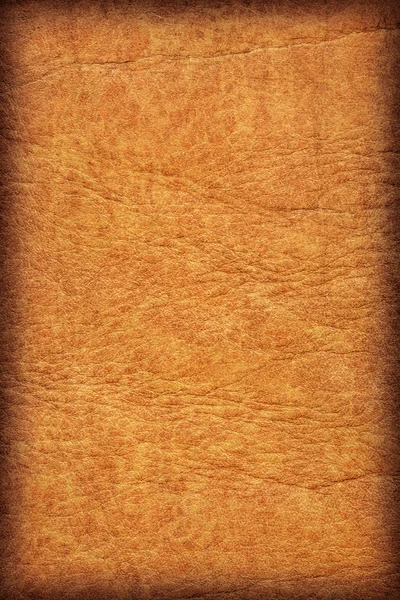Old Cowhide Creased Crumpled Grunge Texture Sample Detail — Stock Photo, Image