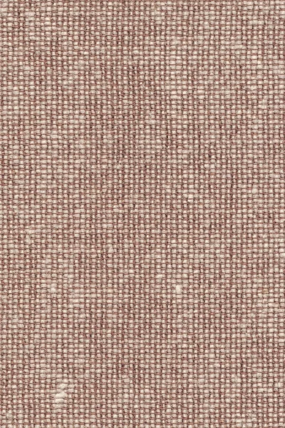 Upholstery Acrylic Polyethylene Woven Light Brown Mesh Pattern F — Stock Photo, Image