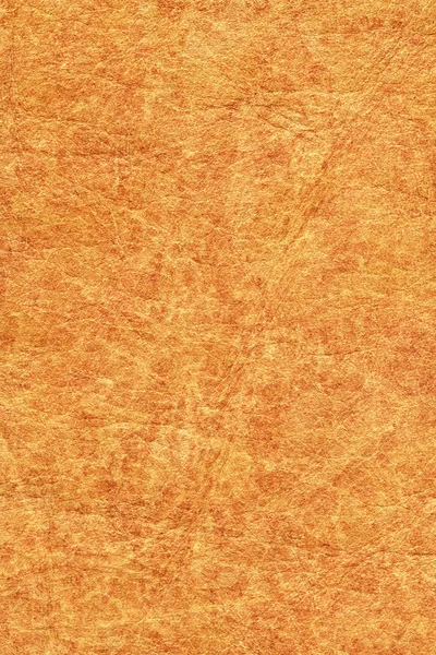 Антикварна пергаментна текстура шкіри тварин Зразок — стокове фото