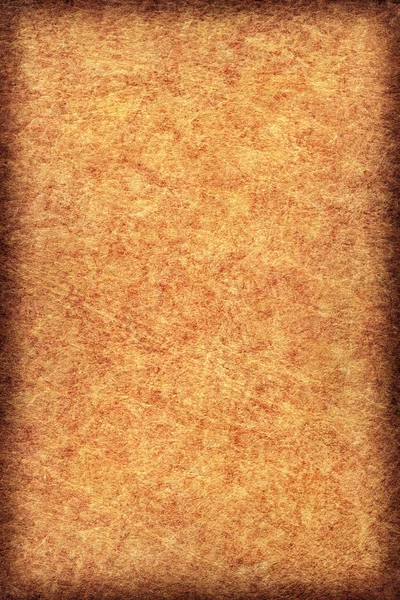 古色古香的动物皮肤羊皮纸 Vignette Grunge 纹理 — 图库照片
