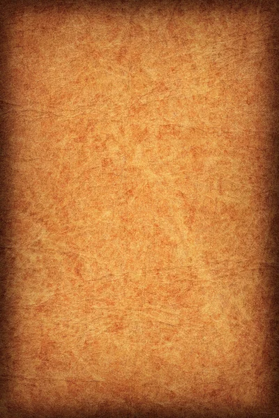 古色古香的动物皮肤羊皮纸 Vignette Grunge 纹理 — 图库照片
