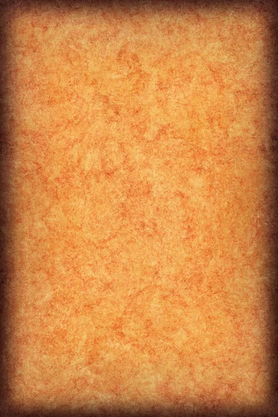 Textura de Grunge de Vignette de pergaminho de pele animal antigo — Fotografia de Stock