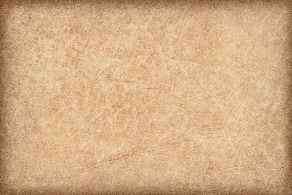 Антикварний пергамент для шкіри тварин Vignette Grunge Текстура — стокове фото