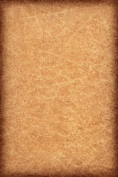 Vignette Grunge Texture - пергамент из кожи античного животного — стоковое фото