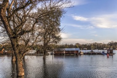 Sava Nehri - Yeni Belgrad - Sırbistan evlerde yüzen ile sular altında arazi