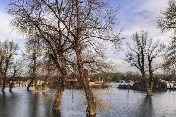 Zalane ziemi z pływające domy w rzece Sava - Nowy Belgrad - Serbia — Zdjęcie stockowe