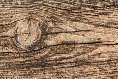 Old Knotted Rotten Cracked Floorboard - Detail