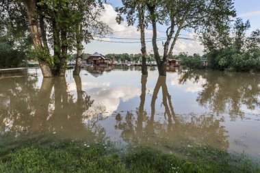 Sava Nehri - Yeni Belgrad - Sırbistan Sal evlere yüzen ile sular altında arazi