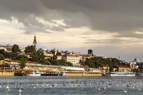 Belgradin Cloudy Waterfront Panorama hämärässä — kuvapankkivalokuva