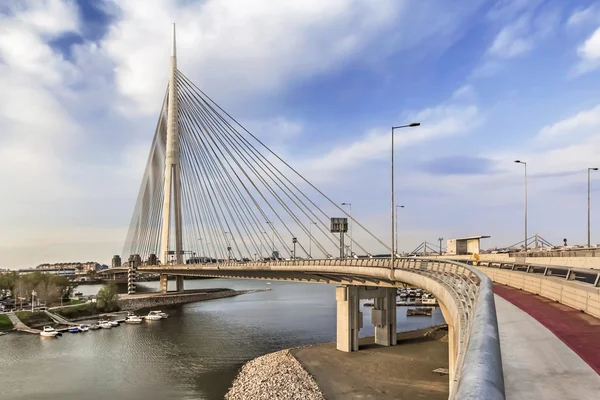 Suspension Bridge Over Ada Pylon at Dusk - Belgrade - Serbia — Zdjęcie stockowe