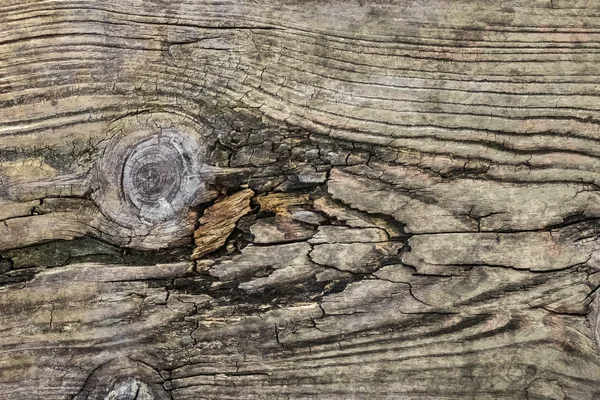 Old Knotted Rotten Cracked Floorboard Texture - Detail — Stockfoto