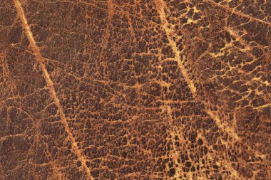 Kaba pullu Grunge doku eski yıpranmış doğal kahverengi sığır derisi buruşmuş