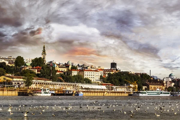 Belgradin Cloudy Waterfront Panorama hämärässä - Turistisatama Sava-joella — kuvapankkivalokuva