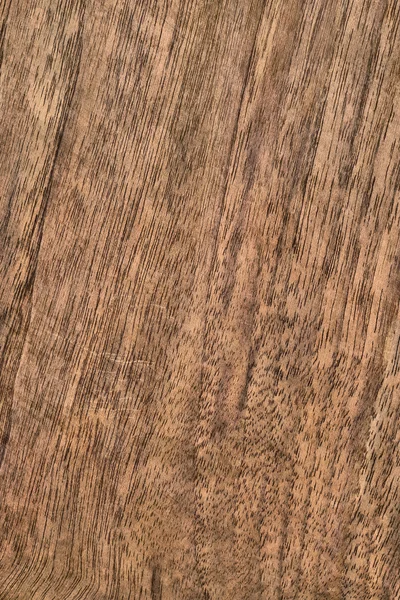 Walnut Wood Veneer Tile Grunge Texture Sample — Stock Photo, Image