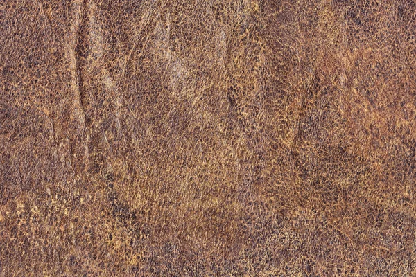 Старий коричневий Cowhide вкритий гранжевою текстурою — стокове фото