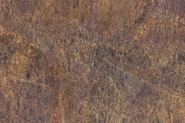 Grunge doku eski inek derisi buruşmuş