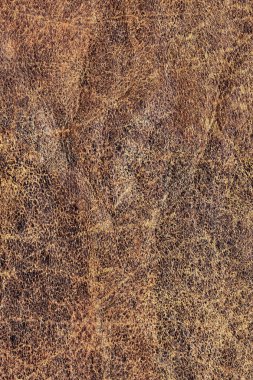 Grunge doku eski inek derisi buruşmuş