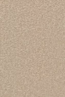 Polyester dokuma kumaş hafif bej doku örneği