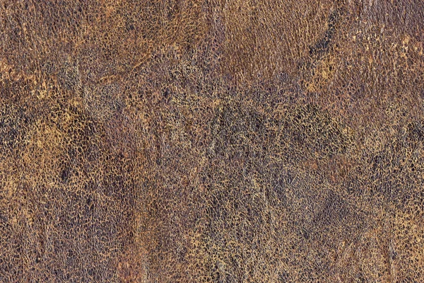 Grunge doku eski inek derisi buruşmuş