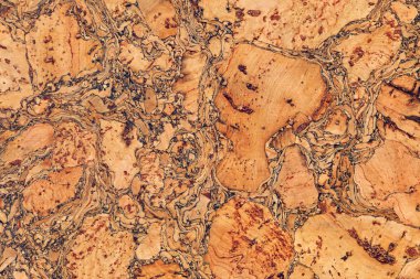 Cork kiremit benekli Grunge dekoratif doku örneği