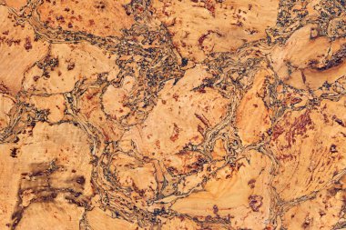 Cork kiremit benekli Grunge dekoratif doku örneği