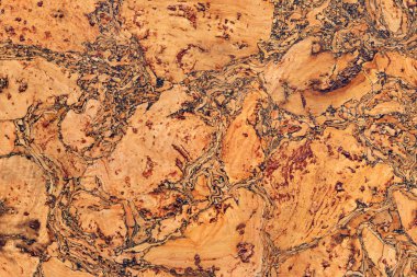 Cork kiremit benekli Grunge dekoratif doku örneği