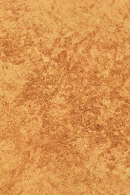 Hayvan deri parşömen Grunge doku örneği
