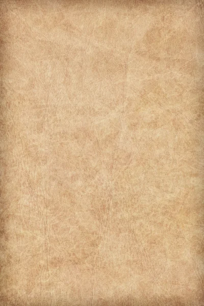 Animal Skin Parchment Vignette Grunge Texture Sample — Stock Photo, Image