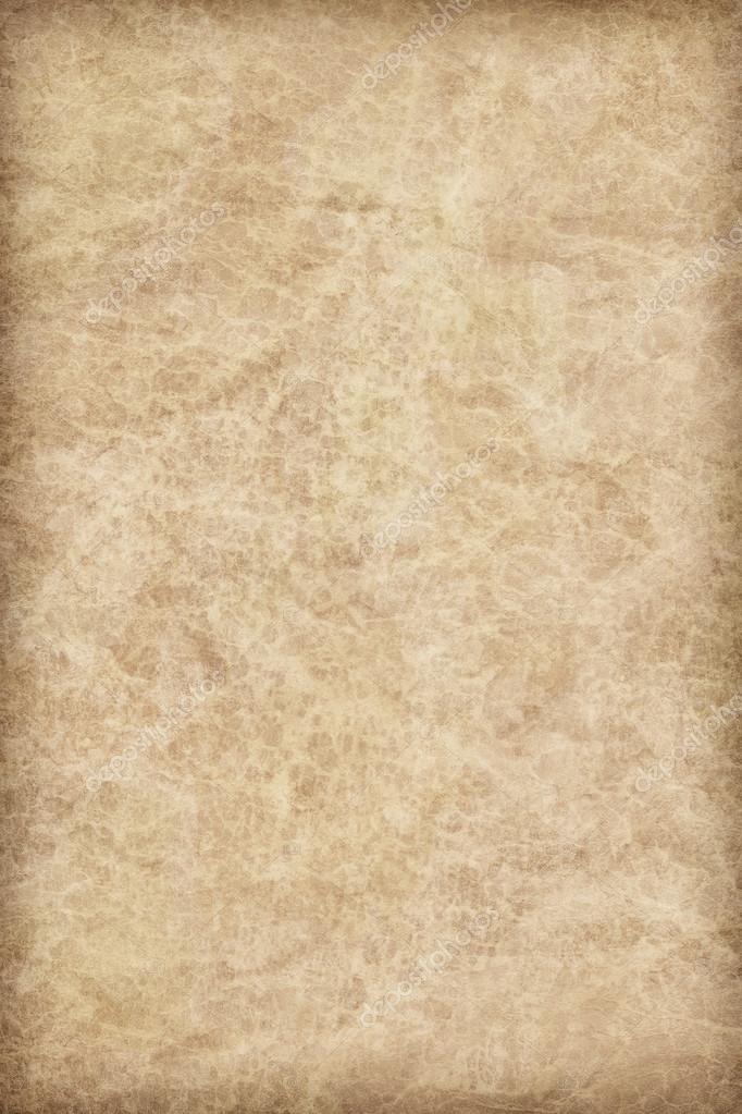 Animal Skin Parchment Grunge Texture Sample — Stock Photo