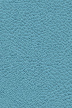 Çizik Blockboard vernikli eski Vignette B&W doku soyulmuş