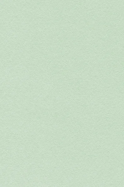 Reciclar Pale Kelly Green Pastel Paper Grano grueso Grunge Texture Muestra — Foto de Stock