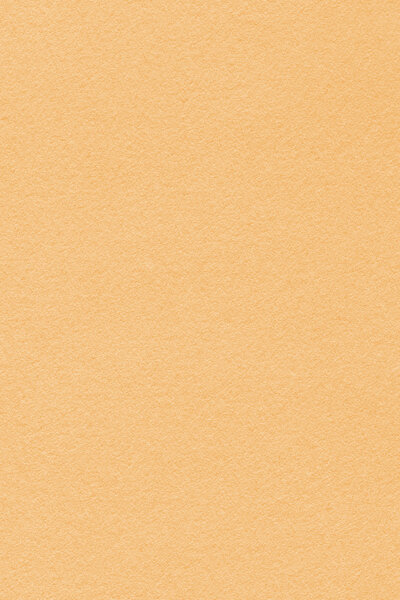 Recycle Light Pale Orange Pastel Paper Coarse Grunge Texture Sample
