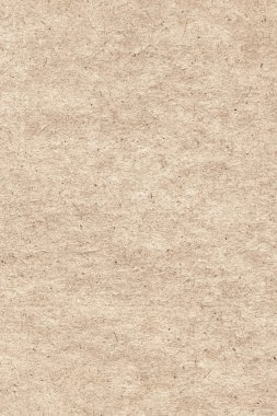 Bej Pastel kağıt kaba buruşuk doku örneği