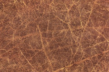 Kaba pullu Grunge doku eski yıpranmış doğal kahverengi sığır derisi buruşmuş