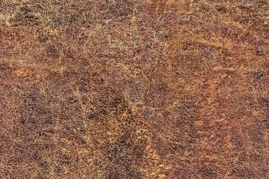 Kaba pullu Grunge doku eski yıpranmış doğal kahverengi sığır derisi buruşmuş