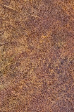 Kaba pullu Grunge doku eski yıpranmış doğal kahverengi sığır derisi buruşmuş