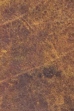 Kaba pullu Grunge doku eski yıpranmış doğal kahverengi sığır derisi buruşmuş