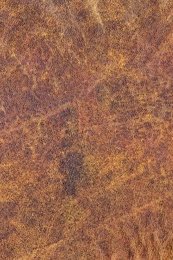 Kaba pullu Grunge doku eski yıpranmış doğal kahverengi sığır derisi buruşmuş