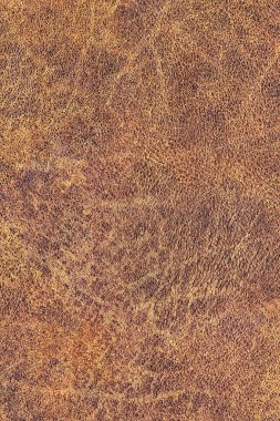 Kaba pullu Grunge doku eski yıpranmış doğal kahverengi sığır derisi buruşmuş