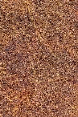 Kaba pullu Grunge doku eski yıpranmış doğal kahverengi sığır derisi buruşmuş