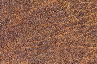 Kaba pullu Grunge doku eski yıpranmış doğal kahverengi sığır derisi buruşmuş